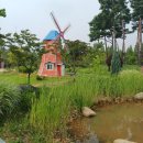 [부천상동] 상동호수공원 : 자연도 예쁘고 볼거리도 풍부한 호수공원 후기