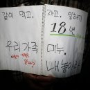 카페미누 이미지