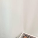 러브미케이크(Love Me Cake) 이미지