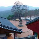 운람사 - 1705 | 운람사