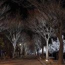 빛의 스펙트럼 이미지