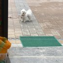 공차목포 | 26.4월 목포,경주,부산 여행으로 가득한 달🍀