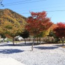 개미들솔향기야영장 이미지