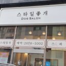 스타일좋개 이미지