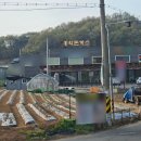 홍익 | 김포 운양동 가성비와 맛을 잡은 홍익돈까스 김포운양점 방문 후기