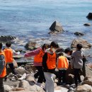 용인대 효태권도장 이미지