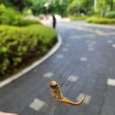 (주)온들에 이미지