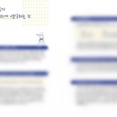 기품있는 태권도장 이미지