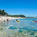 포도나무 민박 이미지