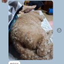 헬로우버디 판교밸리점 이미지