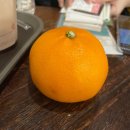 카카호떡볶이 | 2月 1日~2月 28日。유독 짧게 느껴지는 2월 함께 돌아보기💐