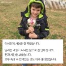 우리집치킨 이미지