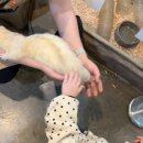 따듯한오후 낮잠소리 | 청주가볼만한곳 아이와 함께 방문한 청주 쥬니멀 동물원 솔직후기