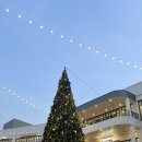 현대장갑 | 아기장갑, 귀여운 아기벙어리장갑 밍크무이 구매후기