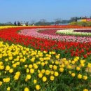 태안반도영농조합법인 이미지