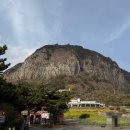 제주 산방산 암벽식물지대 | [제주] 산방산, 산방산 사찰(산방산보문사, 산방사, 산방굴사), 산방산국수맛집, 용머리해안, 커피스케치