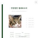 깨비동물병원 이미지