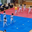 MNT 태권도 스포츠센터 이미지