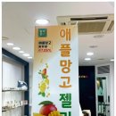 카멜리아문여수이순신