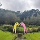 만남레스토랑 | 예쁜 정원과 미술의 만남. 입장료 후불제 유니스의 정원.레스토랑 내돈내산 솔직후기(장줄리앙 작품구경)