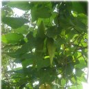 상서주유소 이미지