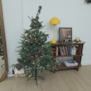 가평군청 (2층 A-B) | 서울 동대문 자연광 스튜디오 자세한 렌탈 후기 | 스튜디오 모즈 A+B룸에서 촬영하고 갔어요