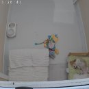 멍그니엘 애견호텔 서울강동점 이미지