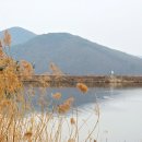 삼지당