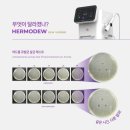 뉴퍼펙트 이미지