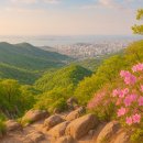 인천 청량산 등산코스 완벽 가이드