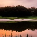 알프스대영CC 이미지