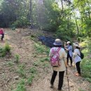 법화사지 이미지