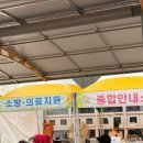 함안제일종합정비 - 270 | 2026 함안 강주해바라기 축제 리얼 후기｜먹거리, 포토존, 방문 꿀팁 총정리