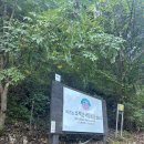 새밭유원지 | 소백산 어의곡코스 | 냉탕과 곰탕을 오가는 비로봉 최단코스 등산 후기😶‍🌫️🌞
