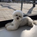 2102_영혼나가기 직전의 상태