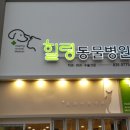 해피동물병원 이미지