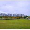 배곧생명공원 티스토리