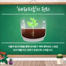 미니정원(테라리움) 이미지