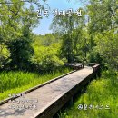 강동-길동-2770 이미지