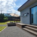 표선달채 이미지