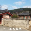 홍산객사 은행나무 이미지