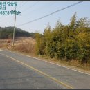 청양군남양면백금보건진료소 | [청양군토지(대지) 법원경매] 청양군 남양면 신왕리 시세,매매,급매,전세