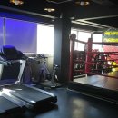 탑비트복싱클럽 이미지