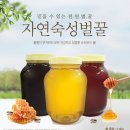 꿀송이팜