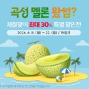 곡성농협 | 곡성몰, ‘지금이 제철, 곡성멜론 30% 특별전’ 운영
