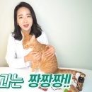 하루약국 이미지