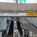 비건페스타 발빠르게 다녀와서 쓰는 꼭 사야할 TOP5
