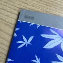 영화5길 | 어쩌면 지금 이 장면이 제 단편영화에 나올 수도 있겠죠?