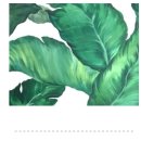 신월민박 이미지