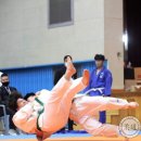 경일 유도관 이미지